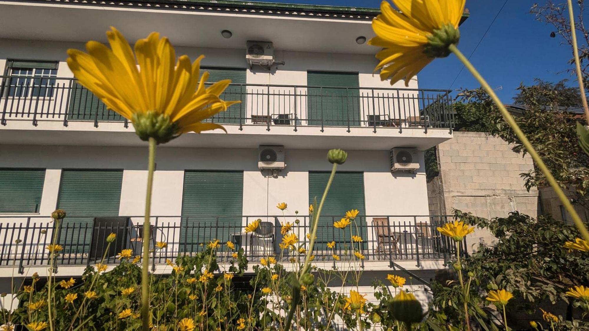 Casa Do Olival Hotell Peso da Régua Exteriör bild